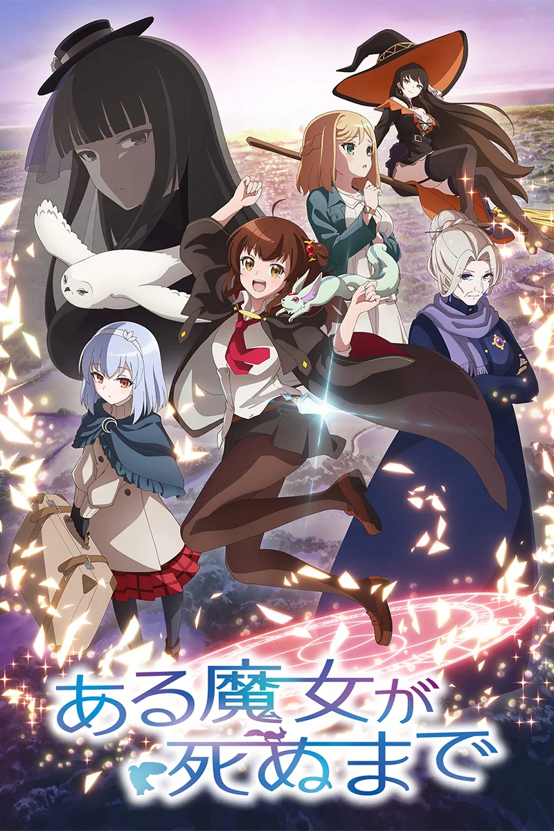 anime : undefined