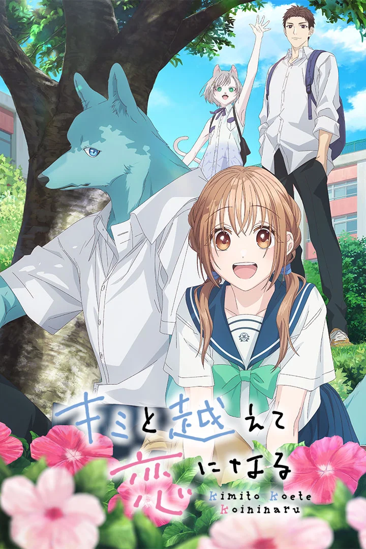 anime : undefined