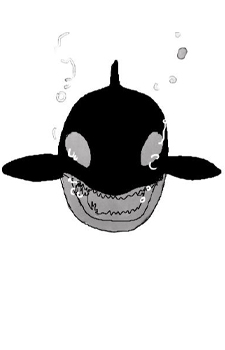 Killer Whale